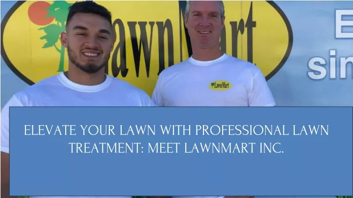 elevate your lawn with professional lawn