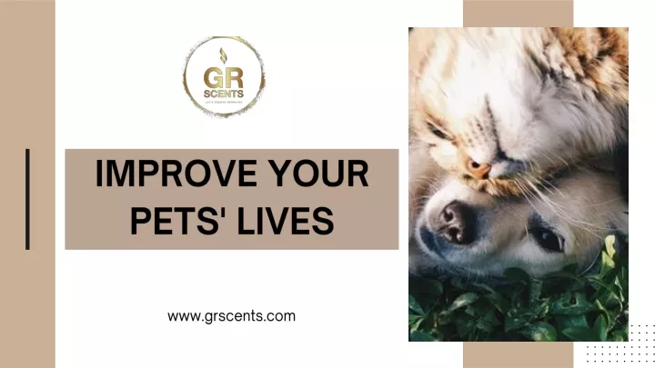 improve your pets lives