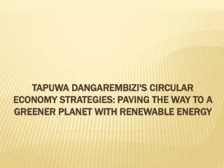 Tapuwa Dangarembizi's Circular Economy Strategies Paving the Way to a Greener Planet with Renewable Energy