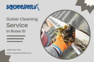 Gutter Cleaning Service in Boise ID
