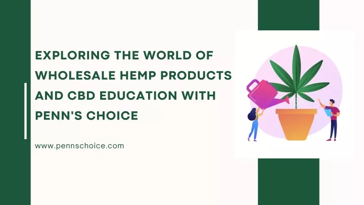 exploring the world of wholesale hemp products