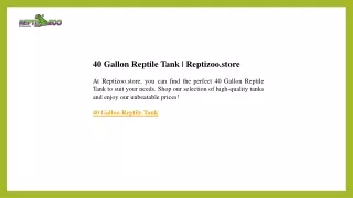 40 Gallon Reptile Tank  Reptizoo.store