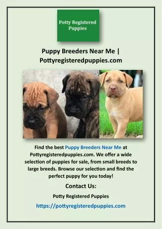 Puppy Breeders Near Me | Pottyregisteredpuppies.com
