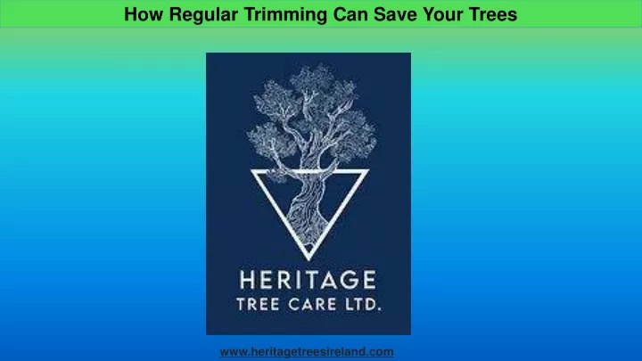 how regular trimming can save your trees