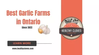 Best Garlic Farms in Ontario - Healthy Cloves Garlic Company