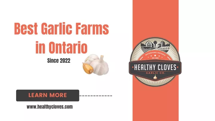 best garlic farms in ontario since 2022