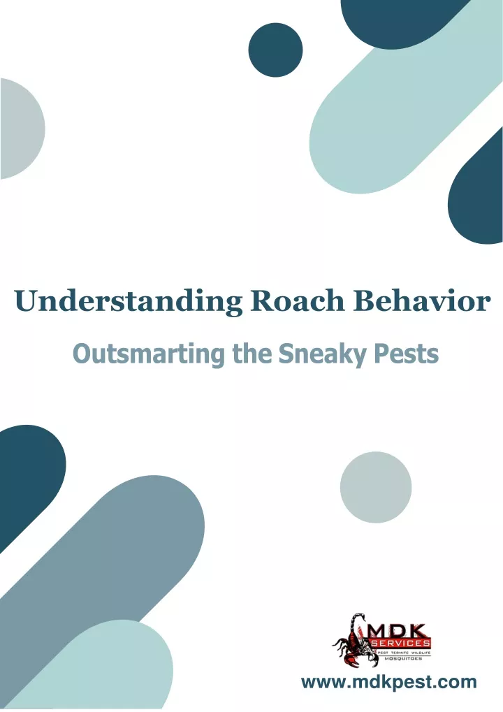 understanding roach behavior