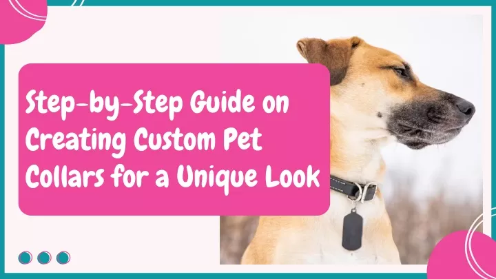 step by step guide on creating custom pet collars