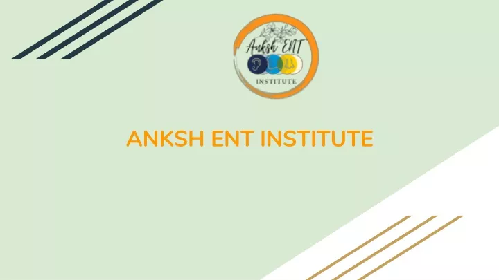 anksh ent institute