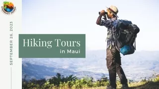 Discover the Top Hiking Tours in Maui for 2023 | Stardust Hawaii
