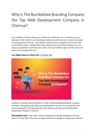 Why is The Bumblebee Branding Company the Top Web Development Company in Chennai