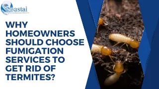 why homeowners should choose fumigation services