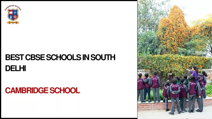 best cbse schools in south delhi cambridge school