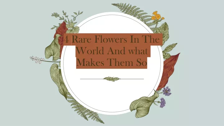 4 rare flowers in the world and what makes them so