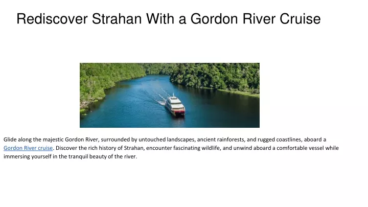 rediscover strahan with a gordon river cruise