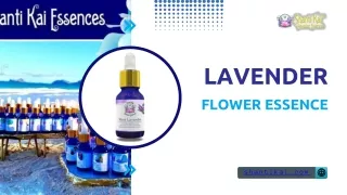 Lavender Flower Essence