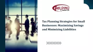 Paldino Company CPA: Tailored Tax Preparation Solutions for Small Business Succe