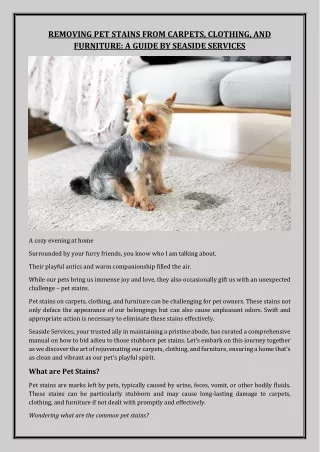REMOVING PET STAINS FROM CARPETS, CLOTHING, AND FURNITURE: A GUIDE BY SEASIDE SE