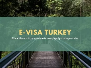 Online E-VISA TURKEY In USA