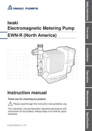 EWN-R Electromagnetic Metering Pump