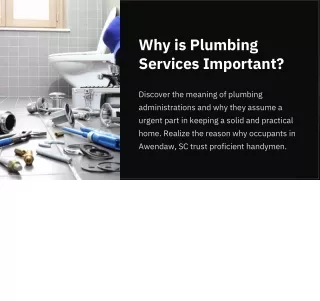 Why is Plumbing Services Important?