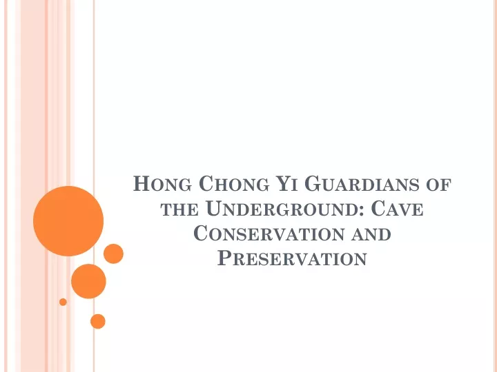 hong chong yi guardians of the underground cave conservation and preservation