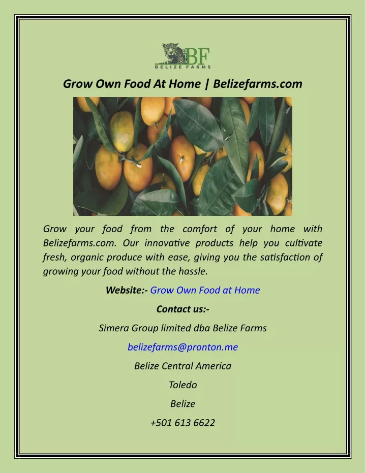 grow own food at home belizefarms com