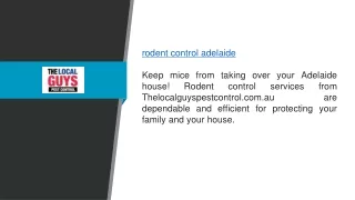 Rodent Control Adelaide  Thelocalguyspestcontrol.com.au