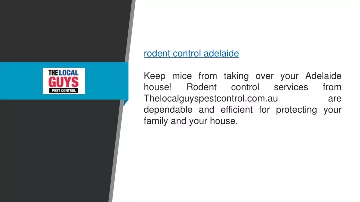 rodent control adelaide keep mice from taking