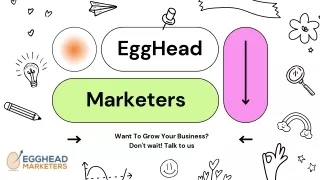 Best SEO Agency Edmonton - Egghead Marketers