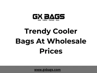 Trendy Cooler Bags At Wholesale Prices