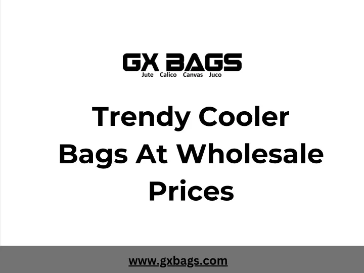 trendy cooler bags at wholesale prices