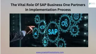 the vital role of sap business one partners