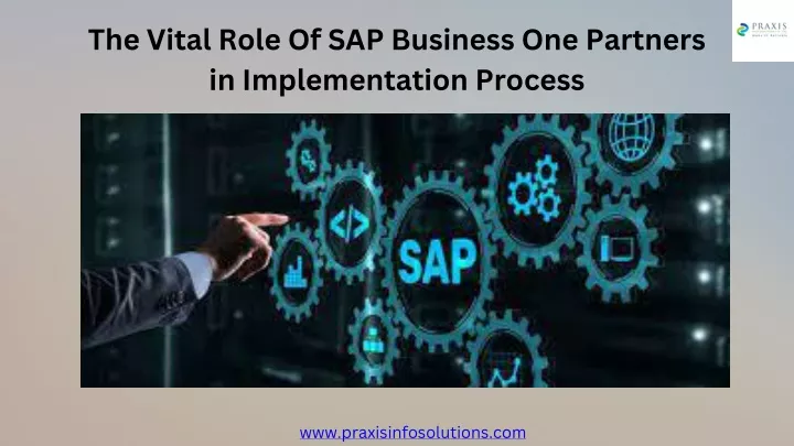 the vital role of sap business one partners