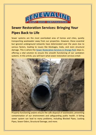Renewaline's Expert Sewer Restoration Services in Orange Park