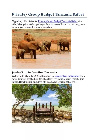 Private Group Budget Tanzania Safari ( PDF )