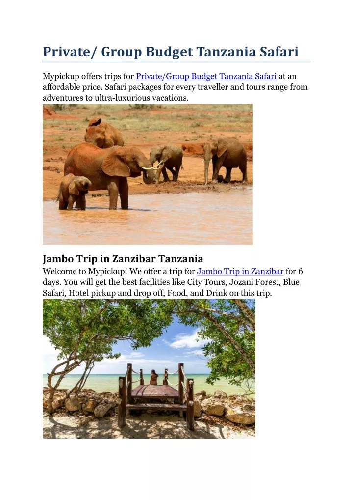 private group budget tanzania safari