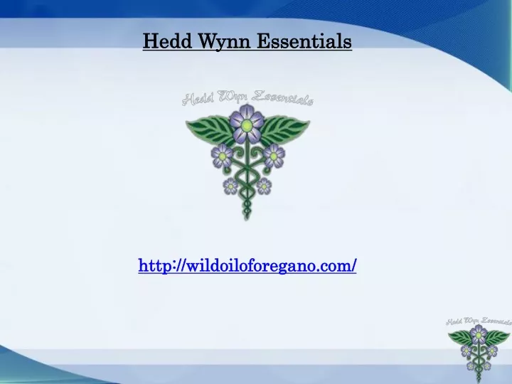 hedd wynn essentials