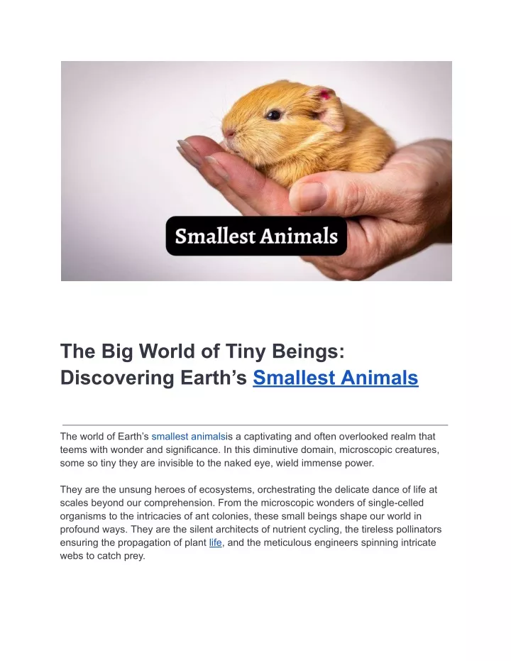 bloganimal newsfascinating facts about animals