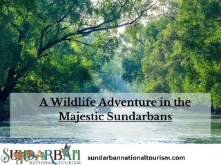 Best Sundarban Tour Packages