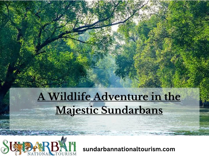 a wildlife adventure in the majestic sundarbans