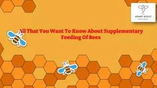 All That You Want To Know About Supplementary Feeding Of Bees
