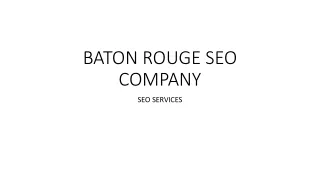 BATON ROUGE SEO COMPANY