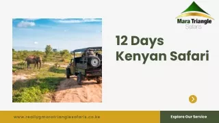 Experience 12 Days Kenyan Safari - Mara Triangle Safaris