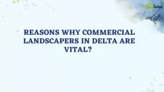 Reasons Why Commercial Landscapers in Delta Are Vital?
