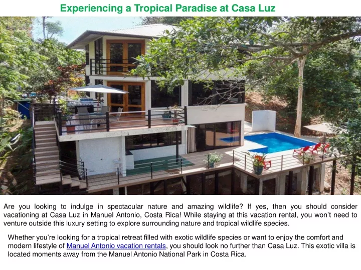 experiencing a tropical paradise at casa luz