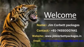 Unlocking Affordable Adventures: Corbett Budget Packages