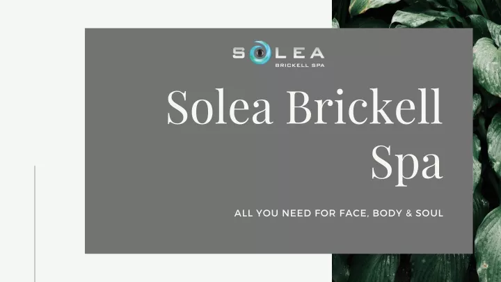 solea brickell