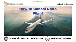 online travel agency