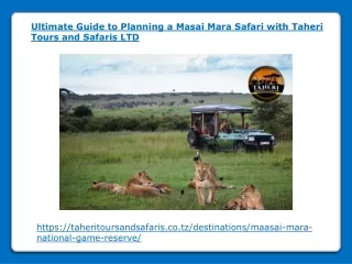 Ultimate Guide to Planning a Masai Mara Safari with Taheri Tours and Safaris LTD